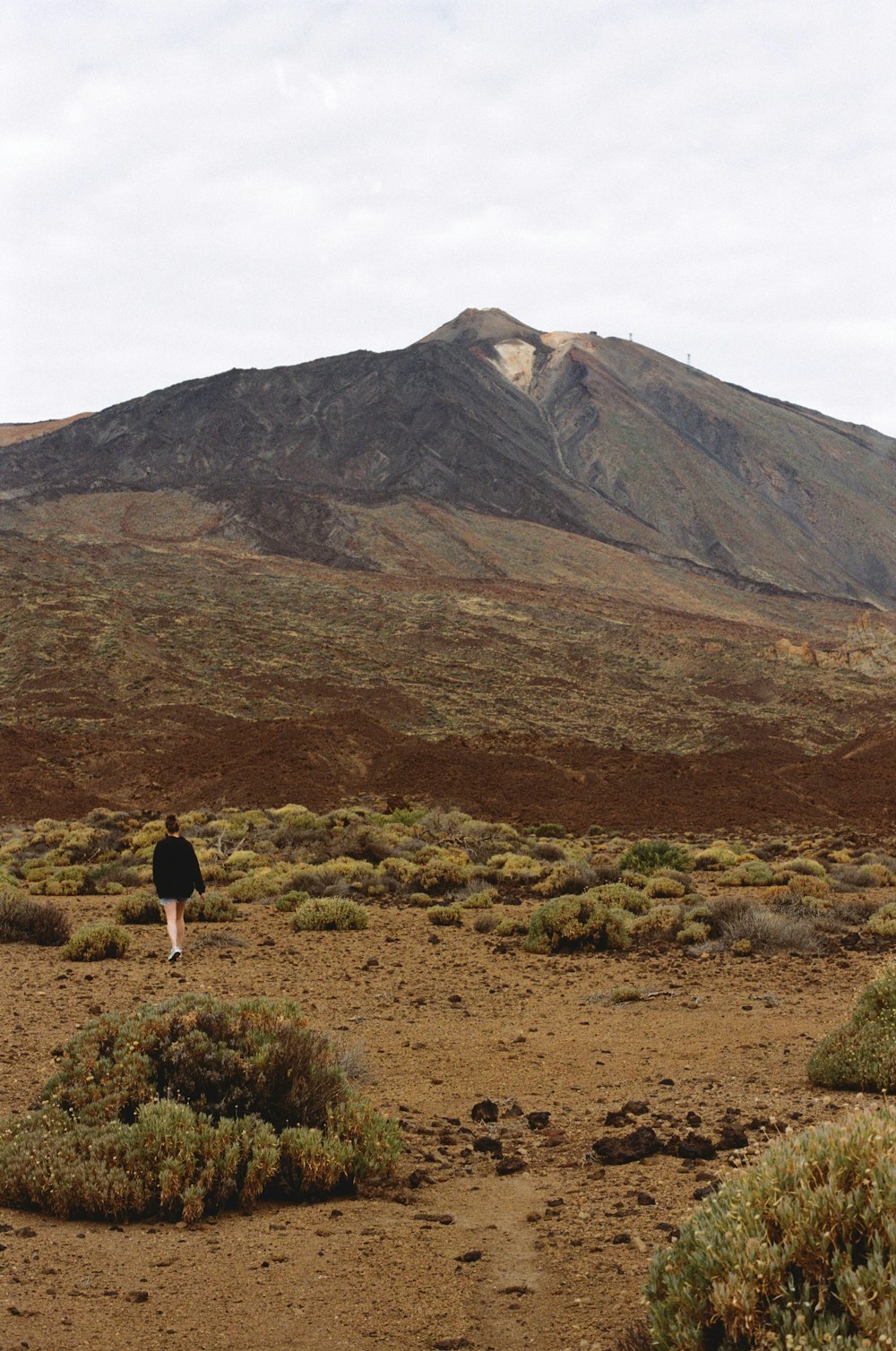 a person walking in a field with a mountain in the background