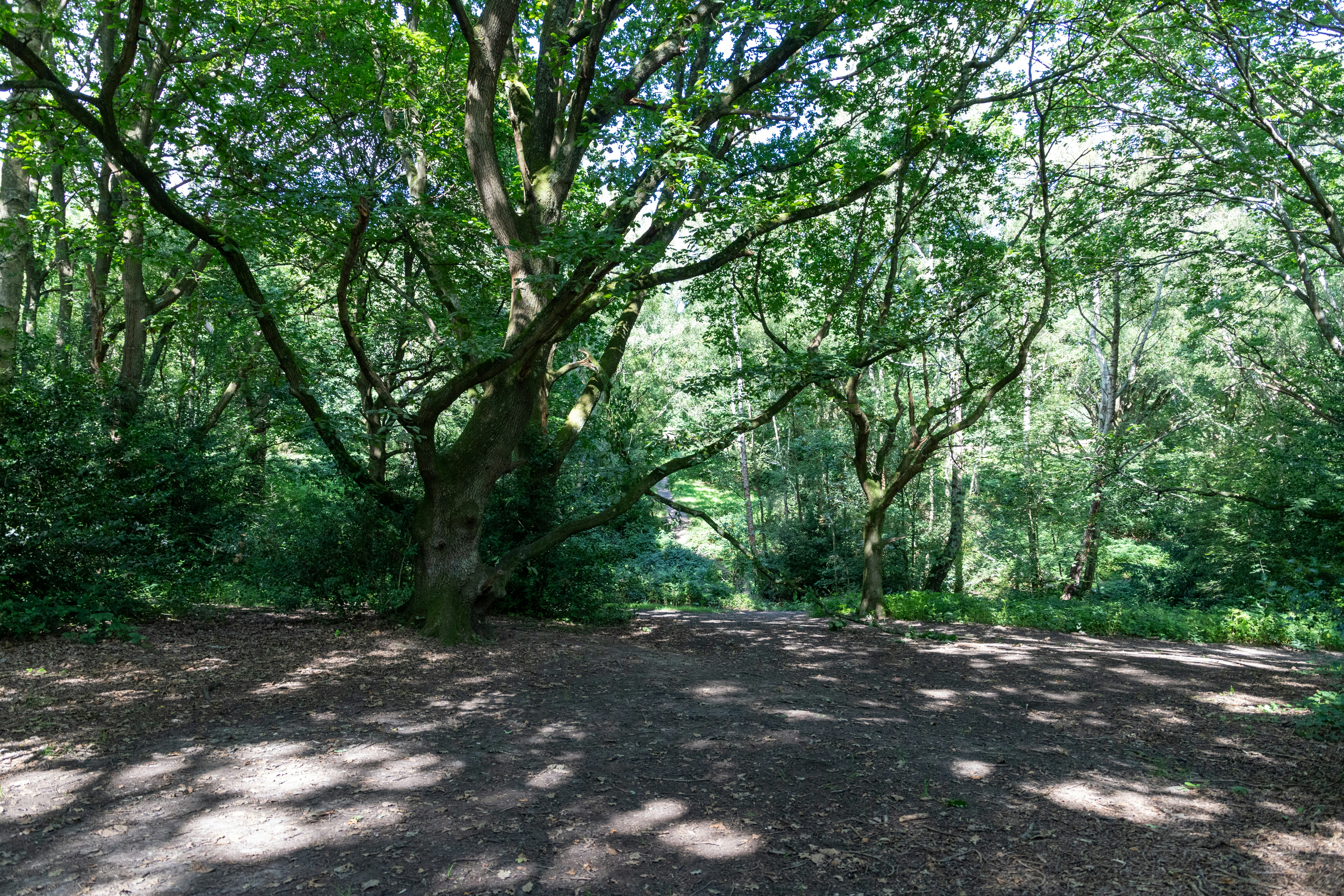 Photo by etrephotography