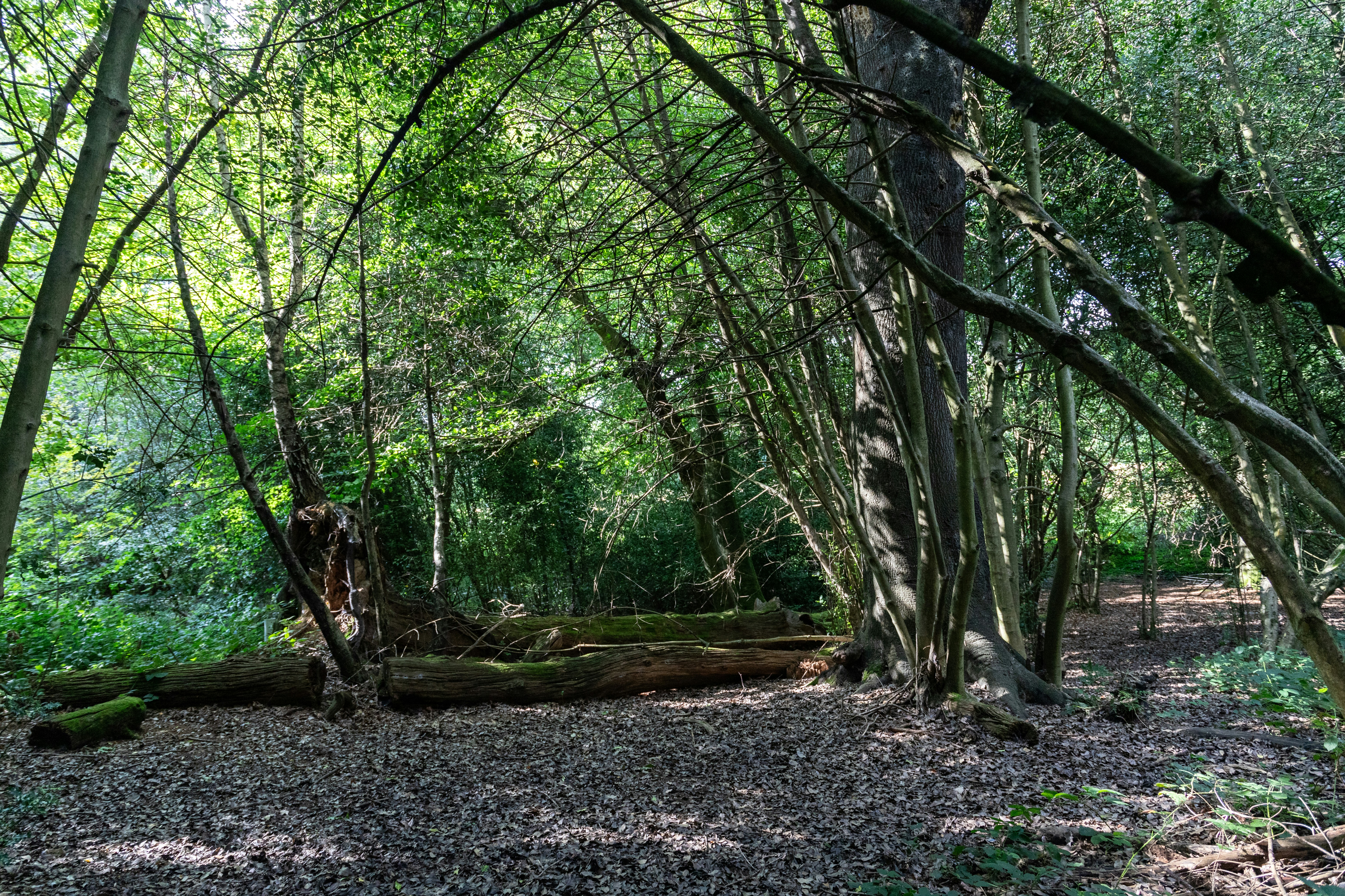 Photo by etrephotography