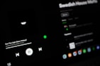 A dark-themed Spotify interface displaying the song 'See The Light' by Swedish House Mafia featuring Fridayy. The play controls are visible with options to play, pause, and skip tracks. The track list and album details are slightly blurred in the background.