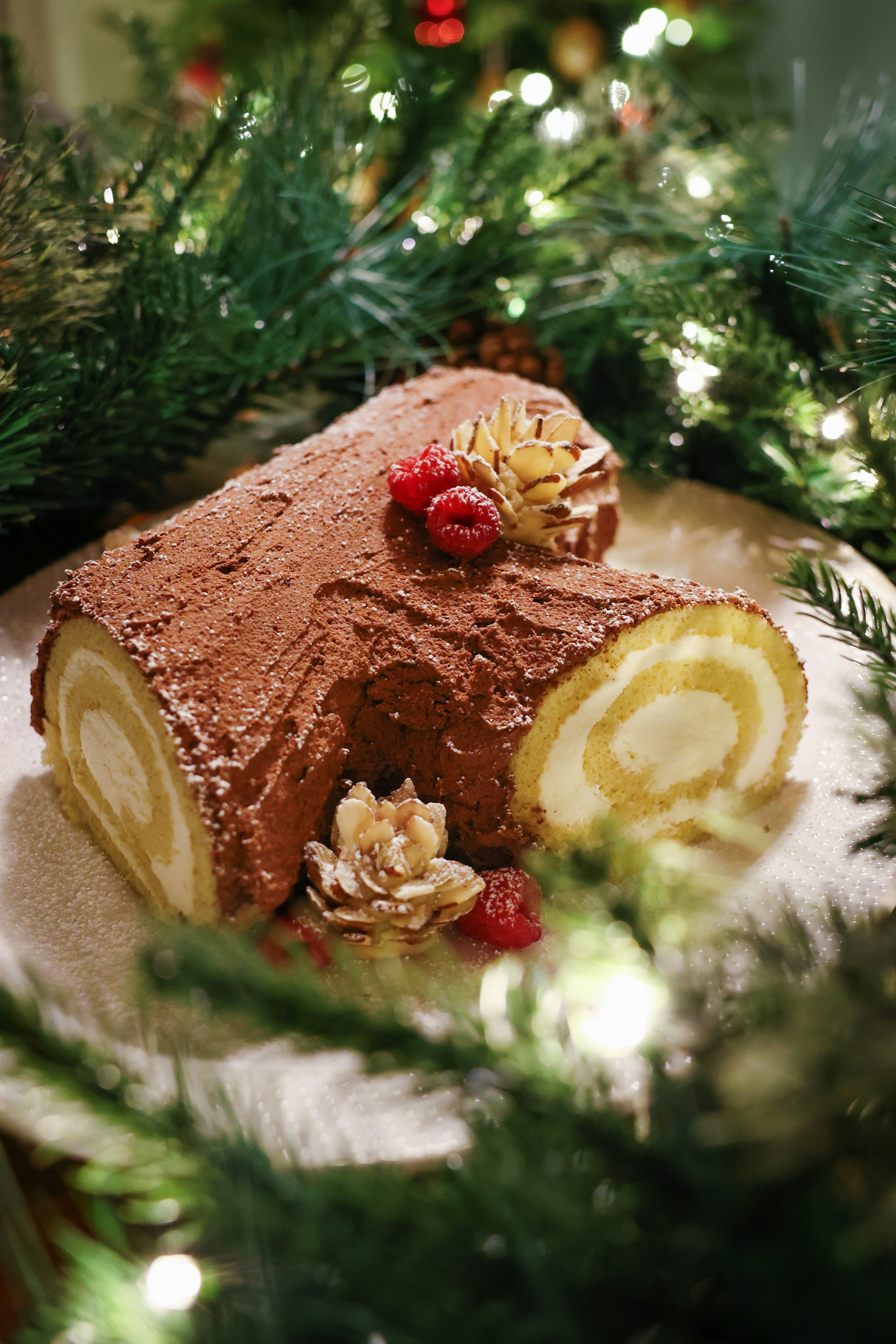 Bûche de Noël bio