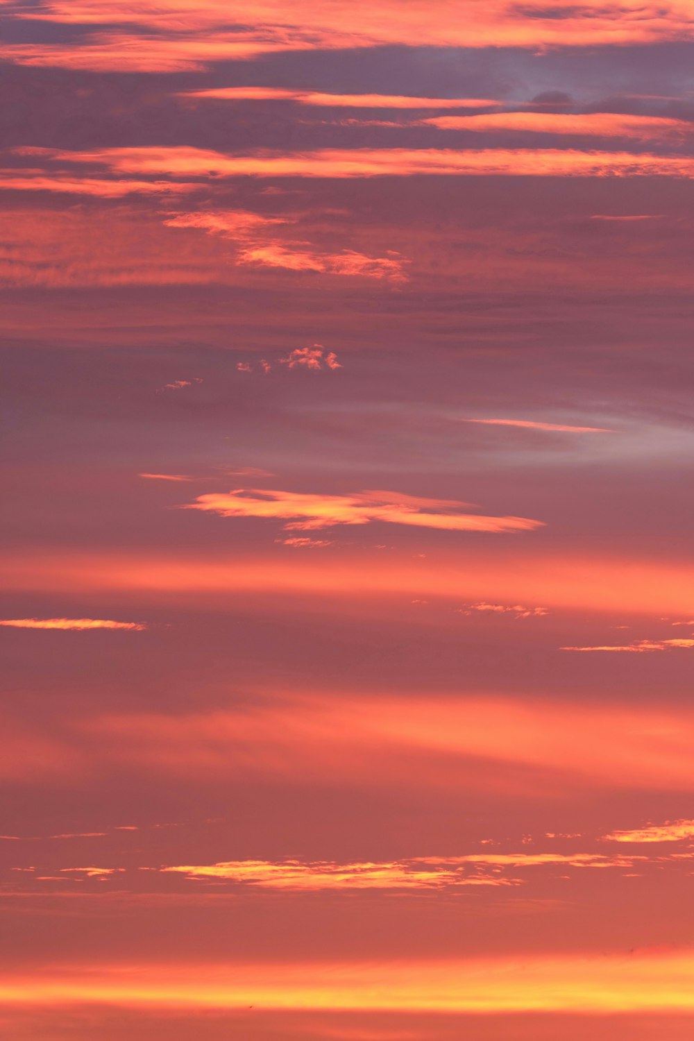 a plane flying in the sky at sunset