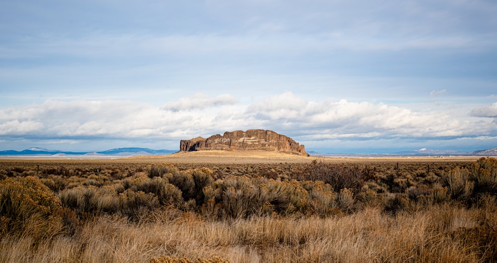 a large rock in the middle of a field