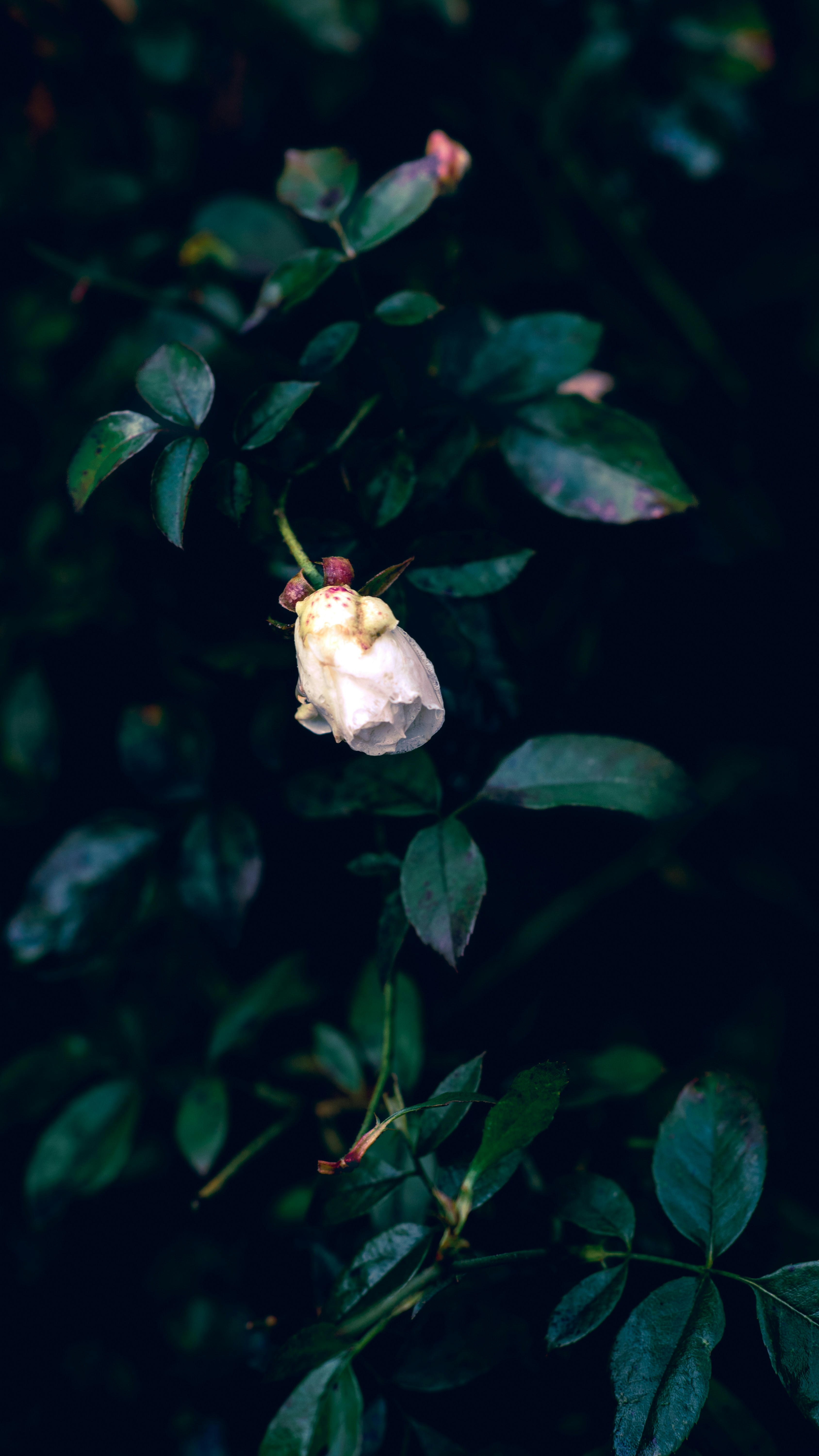 Photo by tuckerjhnson