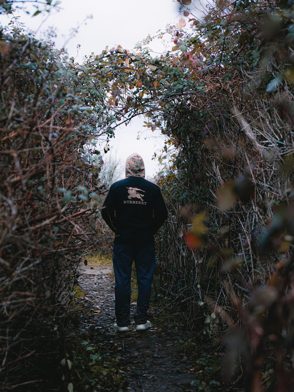 a man walking down a path in the woods