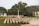 A cemetery with rows of headstones arranged in neat lines, featuring a large, central stone cross. The area is surrounded by lush greenery and trees, with a backdrop of a building with a green roof.