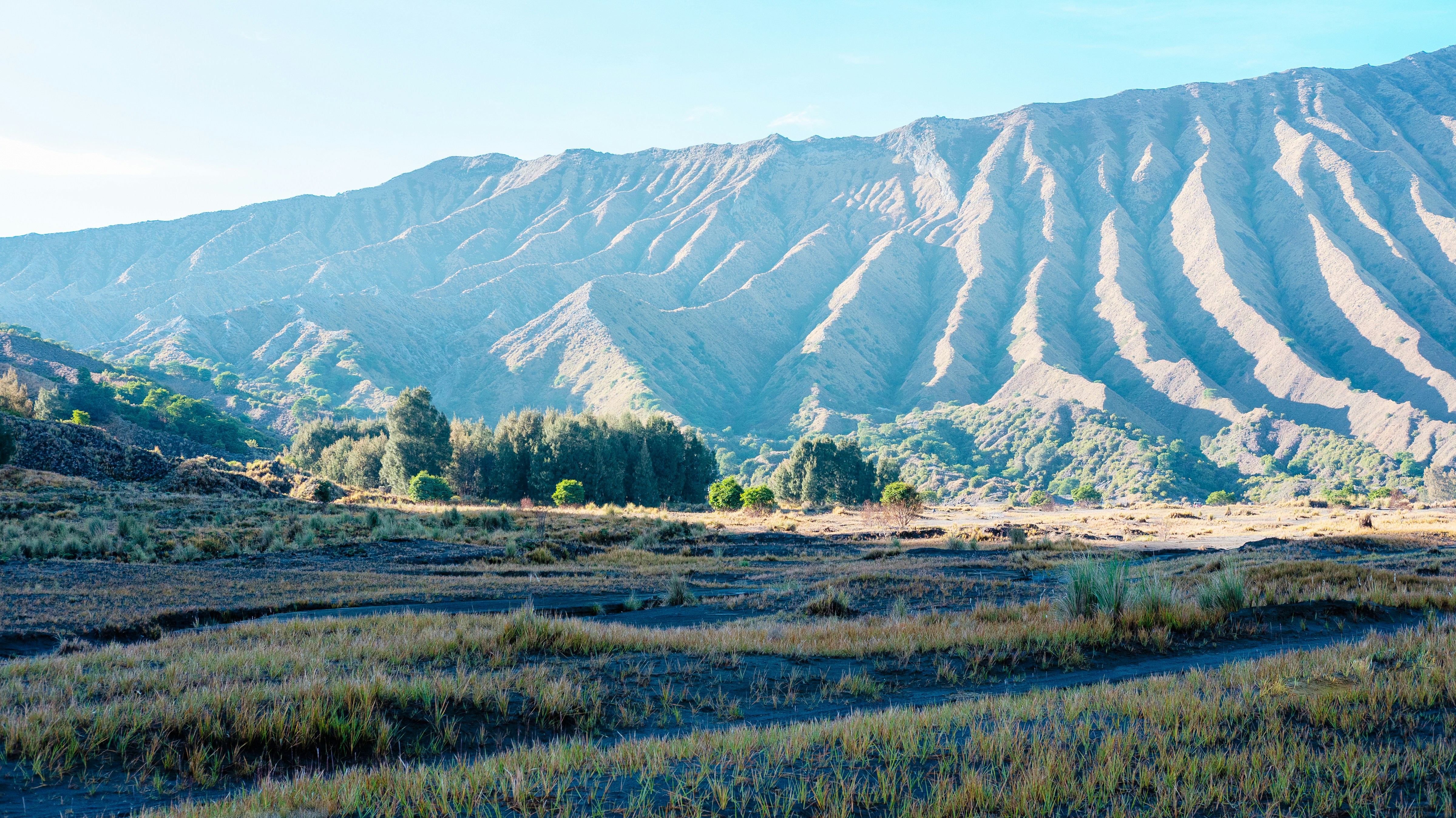 a grassy field with mountains in the background
