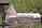 A silver industrial tanker truck with the branding 'Drain-Pro' is parked among greenery. An American flag is prominently displayed on a flagpole attached to the truck. In the foreground, there are ornamental grasses and blue flowers, while lush green trees provide a background.