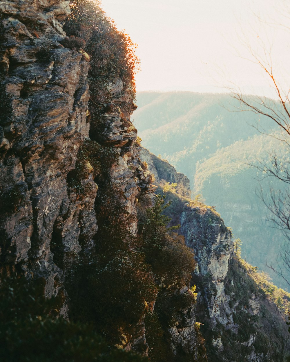 Un hombre parado en la cima de una montaña junto a un frondoso bosque verde