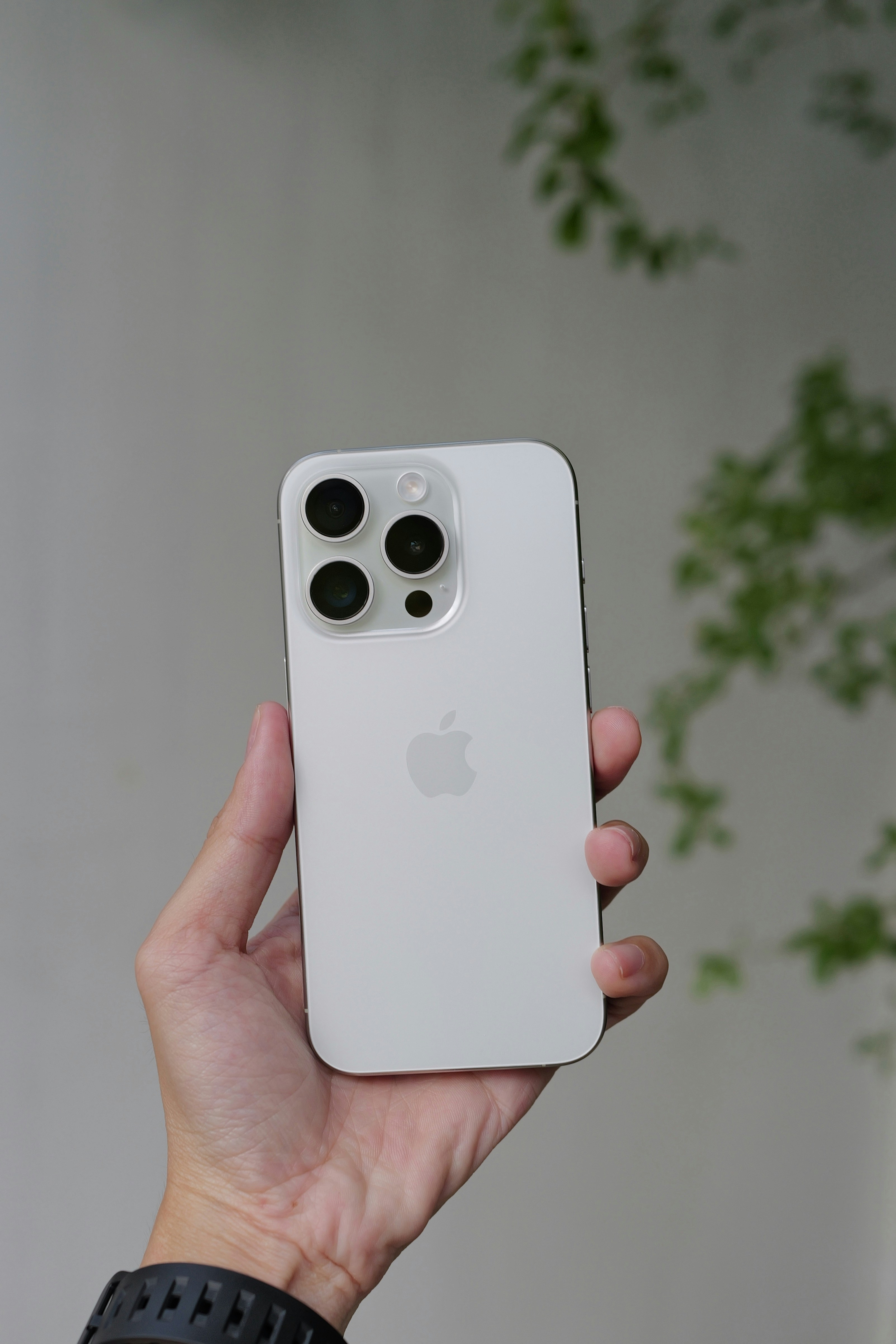 Photo by quangthai_itshop