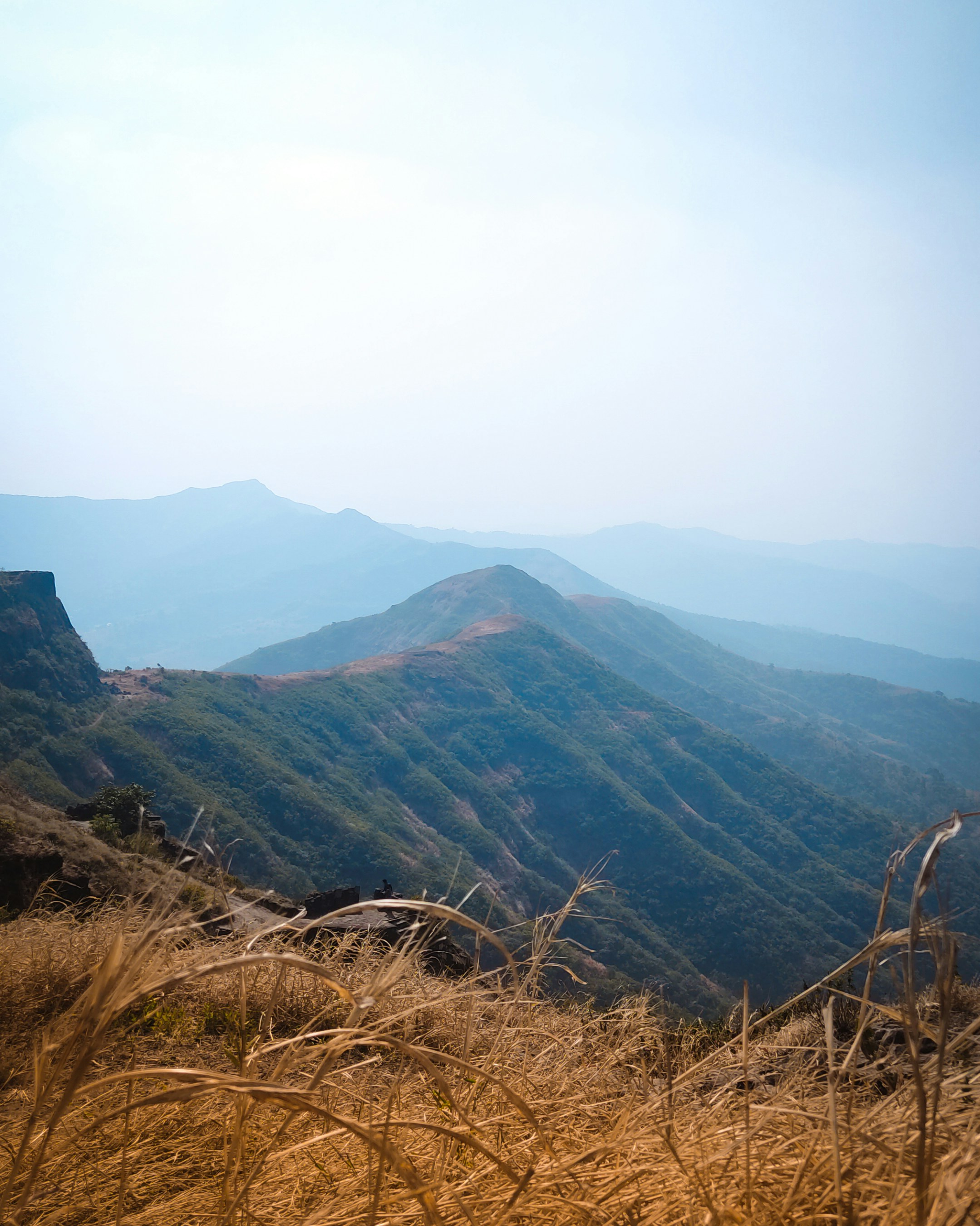 a view of a mountain range from a grassy hill