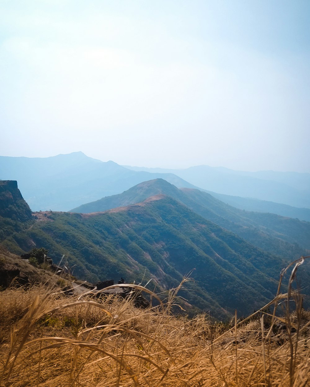 a view of a mountain range from a grassy hill