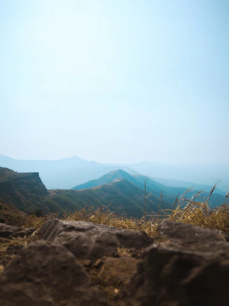 A scenic view of Rancho Tecate with rolling hills and clear skies.