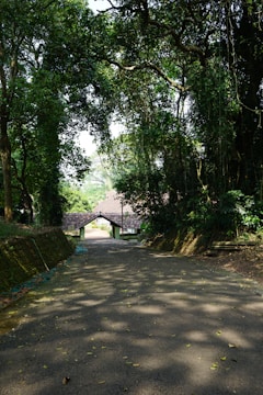 A paved road leading into the serene neighborhood of PVS Sree Lakshmi Nilayam.