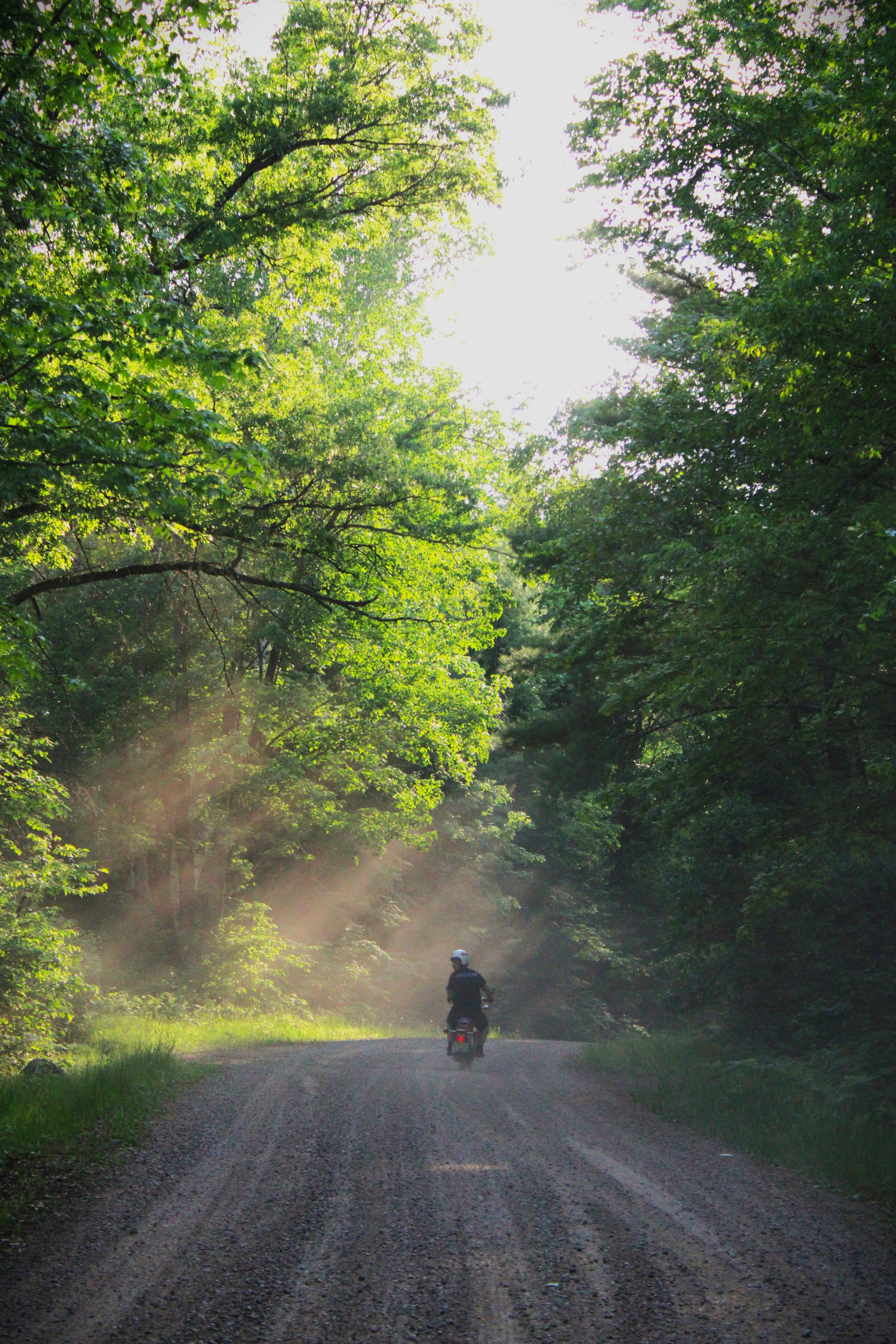 Photo by kruegerelliot