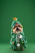 A small dog dressed in a green Christmas tree costume adorned with colorful pom-poms and a gold star on top.