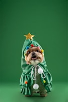 A small dog dressed in a green Christmas tree costume adorned with colorful pom-poms and a gold star on top.