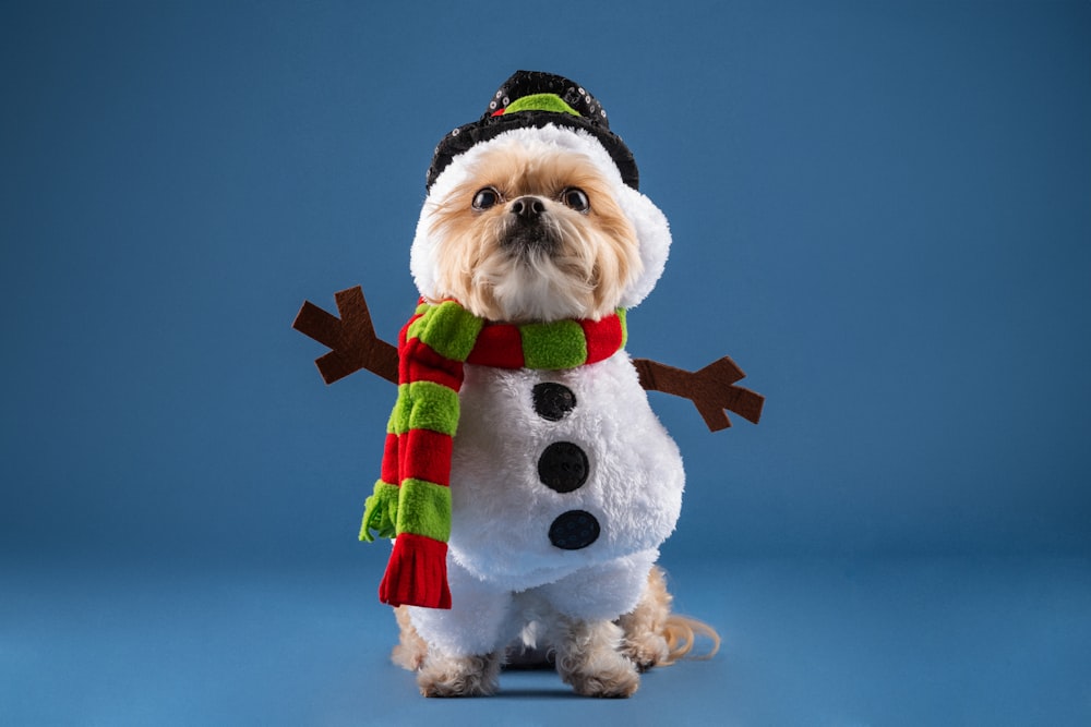 un perro con un sombrero de muñeco de nieve y una bufanda