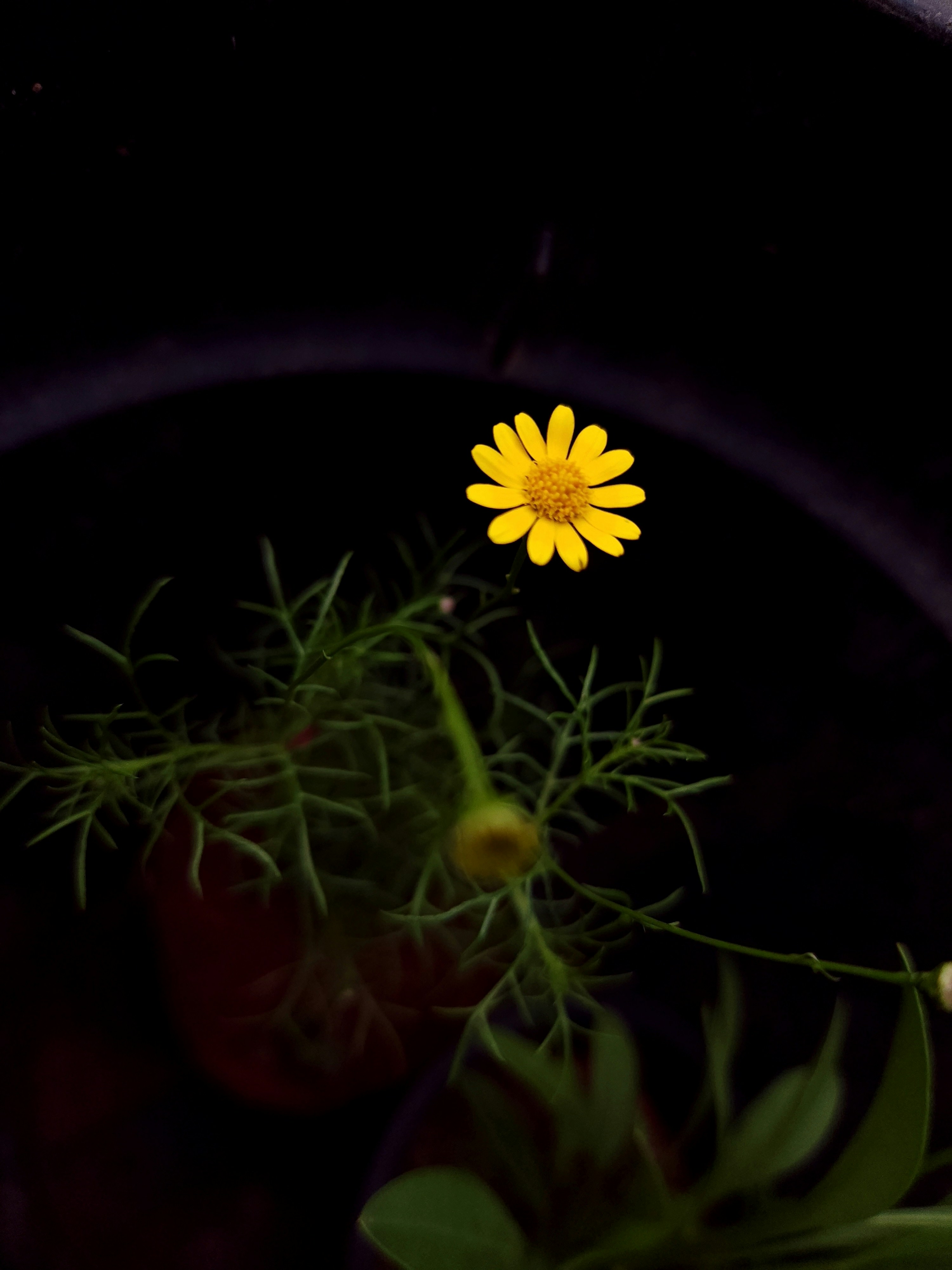 Photo by mrinalrajac