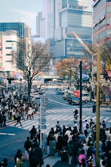A bustling cityscape featuring a busy crosswalk teeming with people. Skyscrapers and tall buildings line the horizon, while leafless trees add an urban touch. Various vehicles, including cars and a cyclist, navigate the streets. The scene communicates the vibrant energy of urban life.