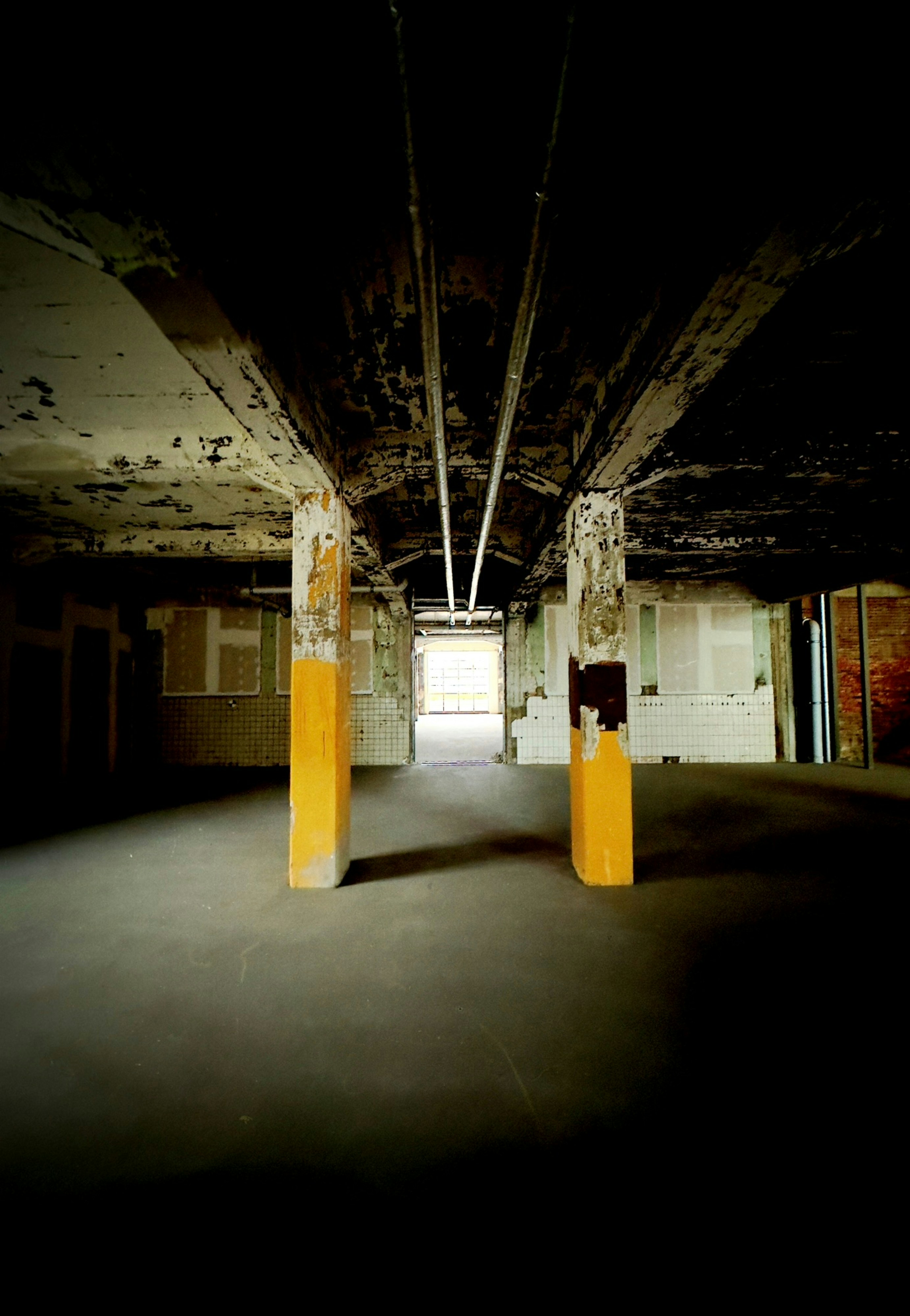 Photo by david_underland