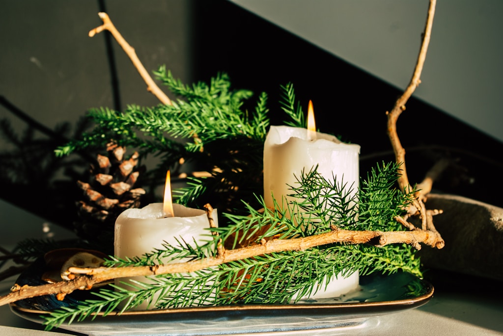 Cedar & Pine