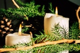 A softly glowing candle surrounded by pinecones and winter greenery, evoking stillness and renewal.
