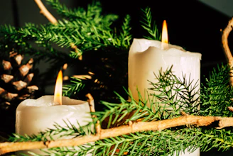 Close-up of a glowing Cyprus Candles luxury candle nestled among pine branches.