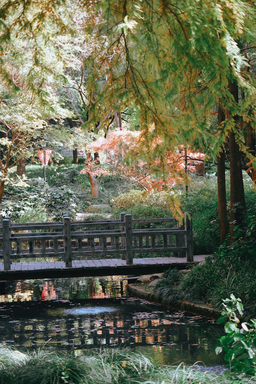 a bridge over a small pond in a park