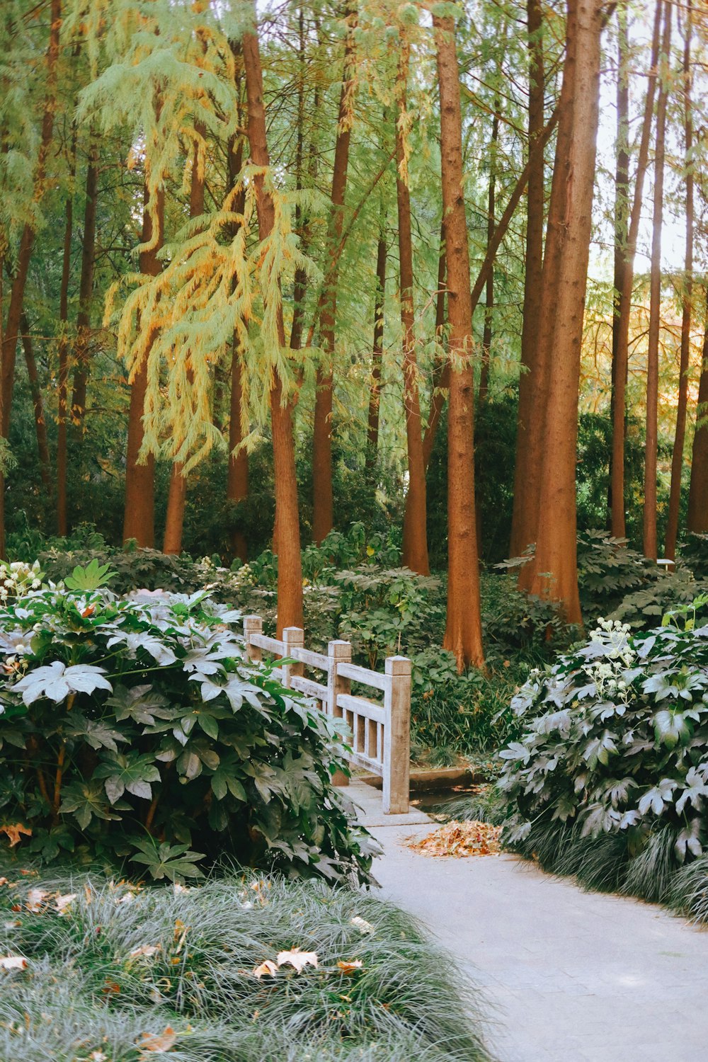 a wooden bench sitting in the middle of a forest