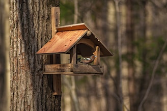 Brightly painted bird feeder in the shape of a birdhouse with a slanted roof.