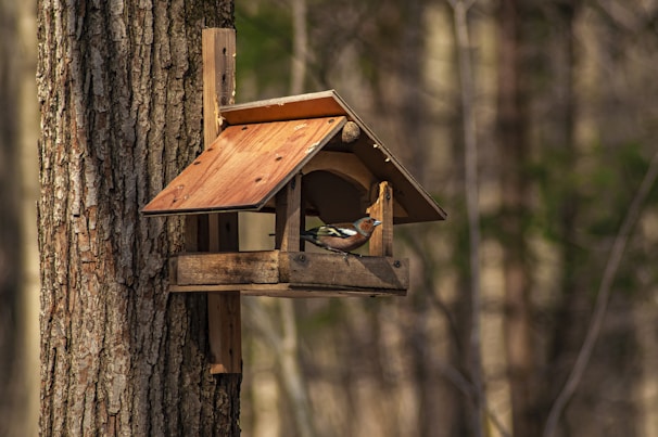 Brightly painted bird feeder in the shape of a birdhouse with a slanted roof.