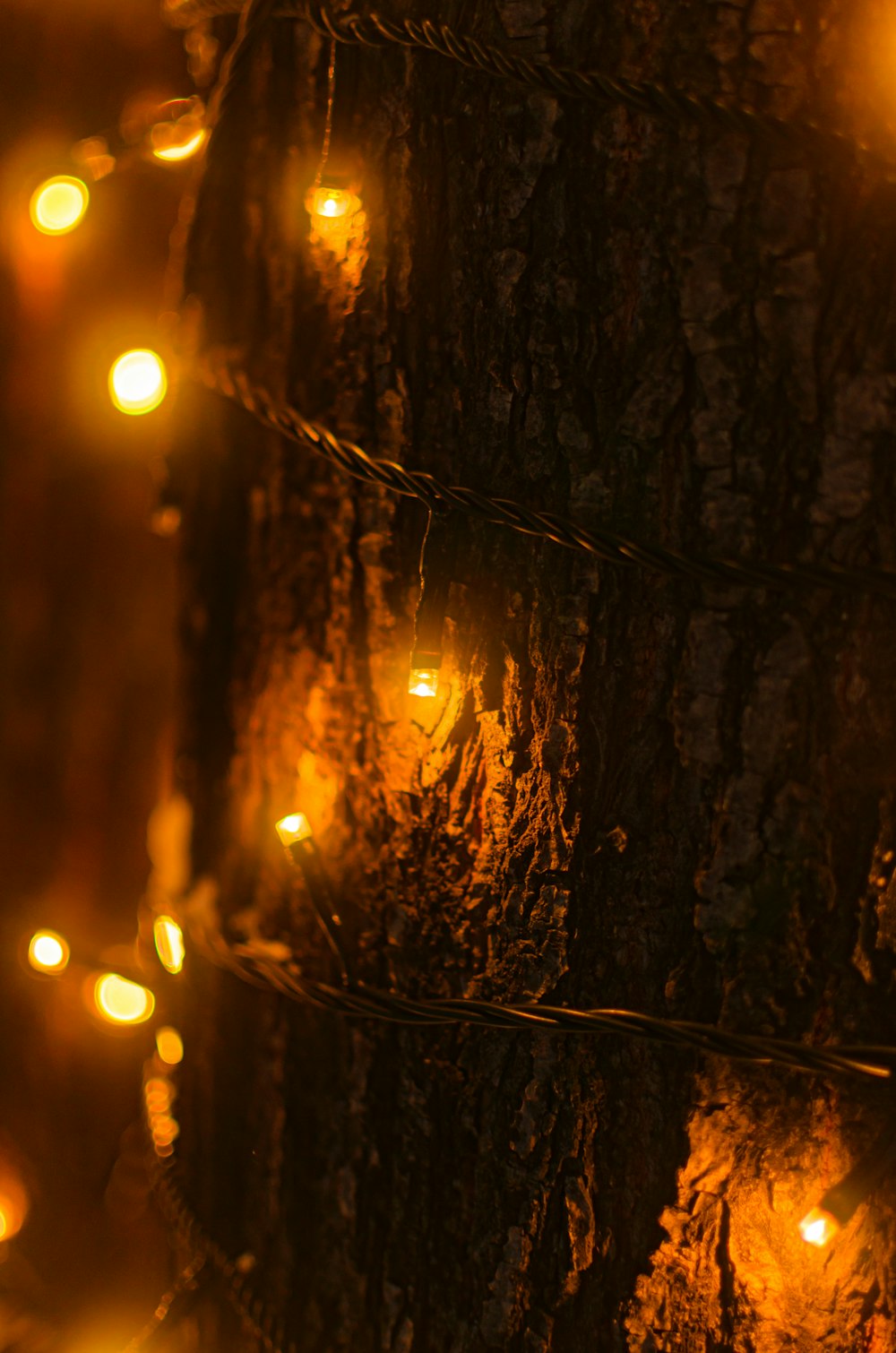 a bunch of lights that are on a tree