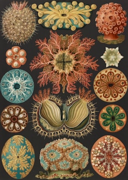 A detailed illustration representing a unique artistic style.