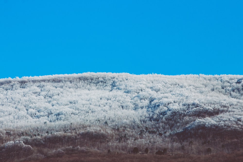 ein schneebedeckter Berg mit blauem Himmel im Hintergrund