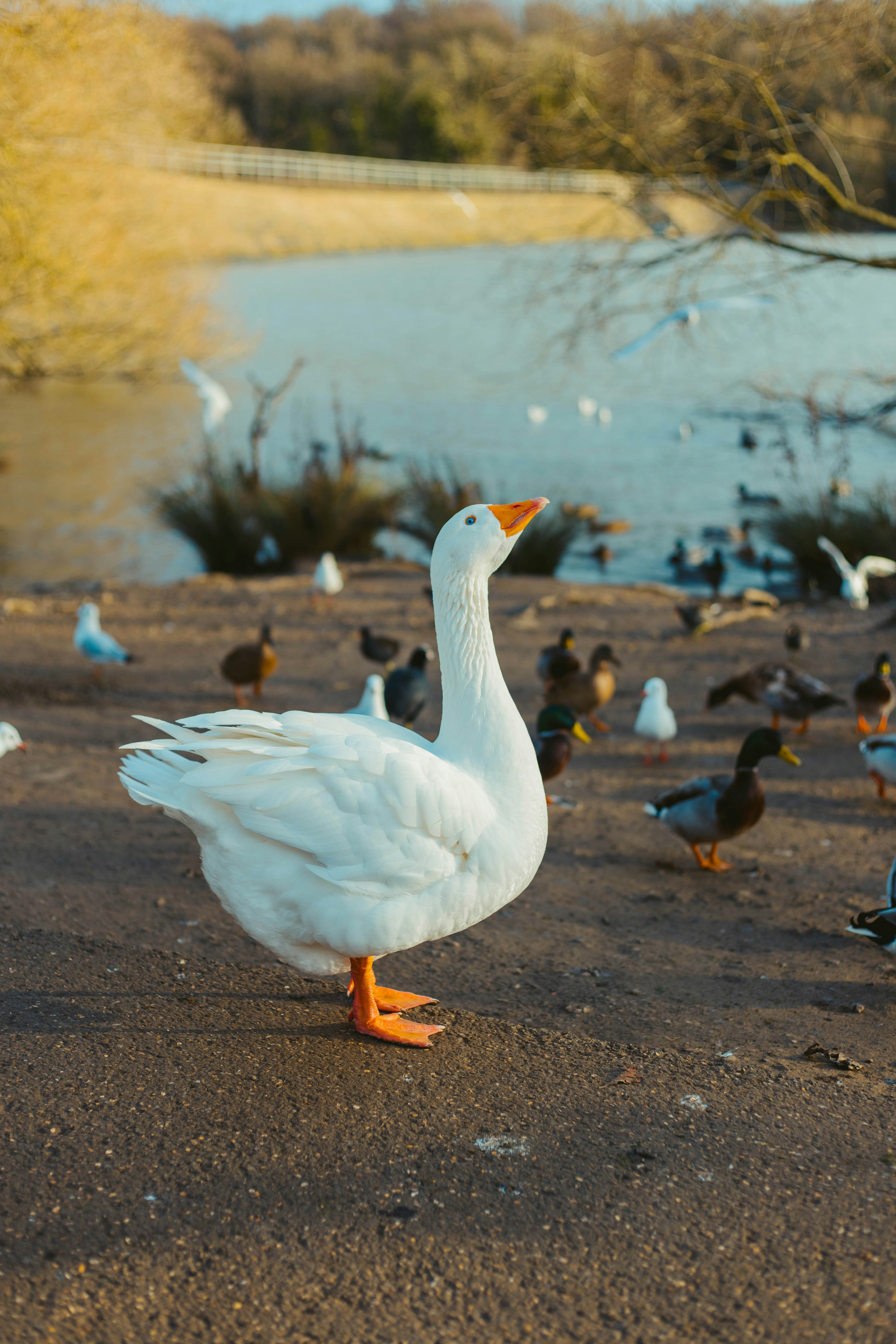 Photo by joematthewson