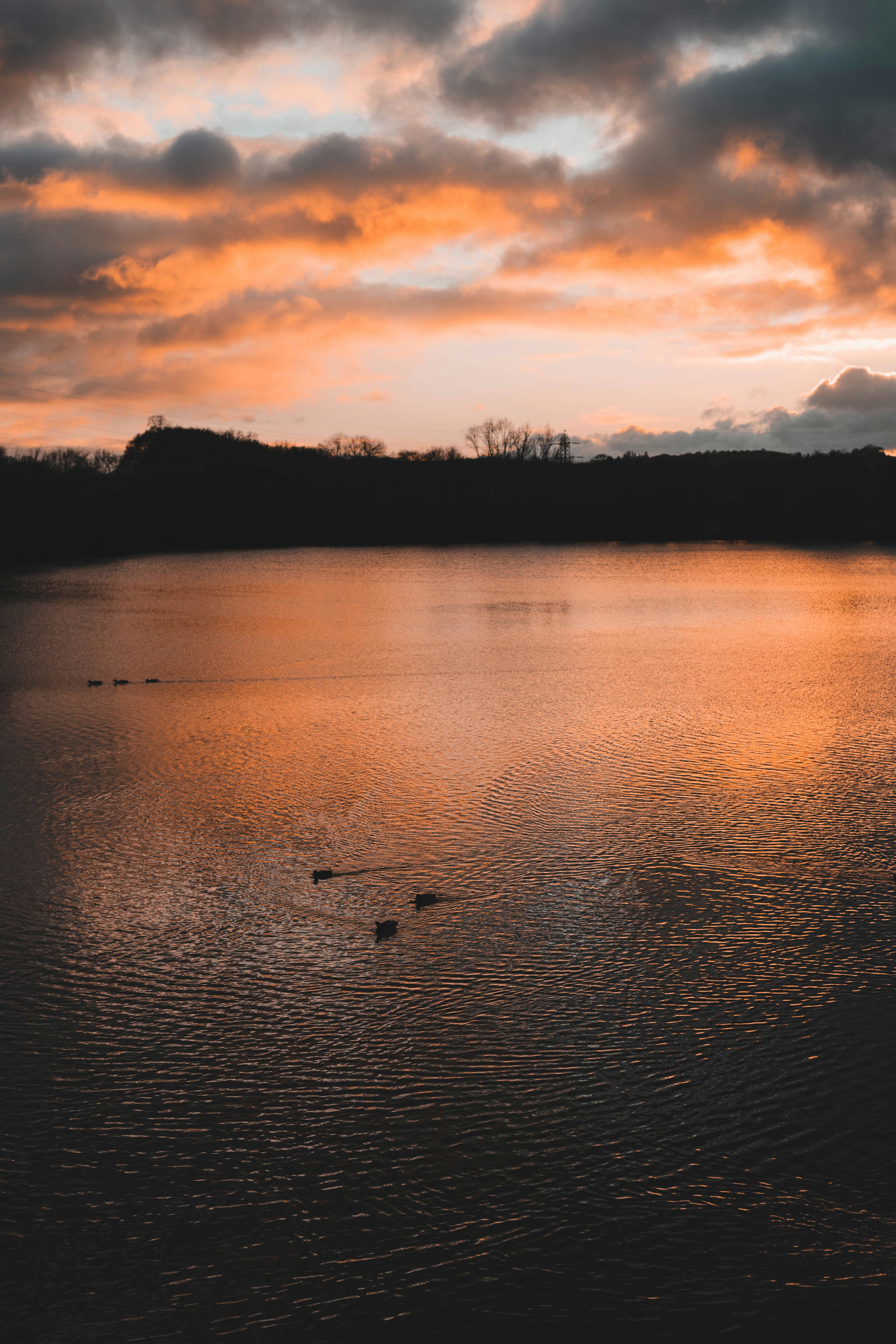 Photo by joematthewson