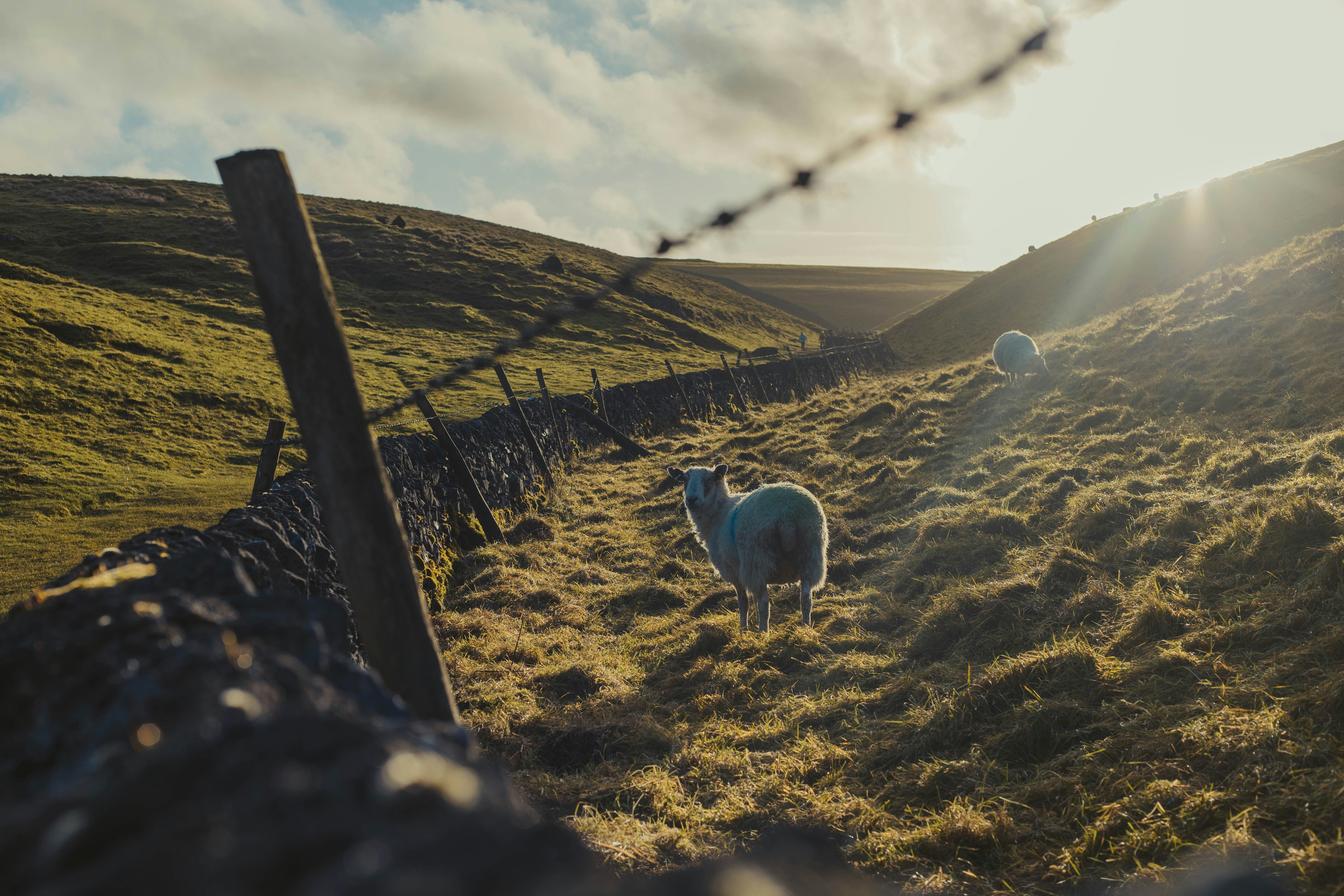 Photo by joematthewson