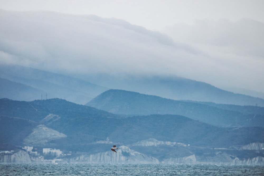 a bird flying over a body of water with mountains in the background