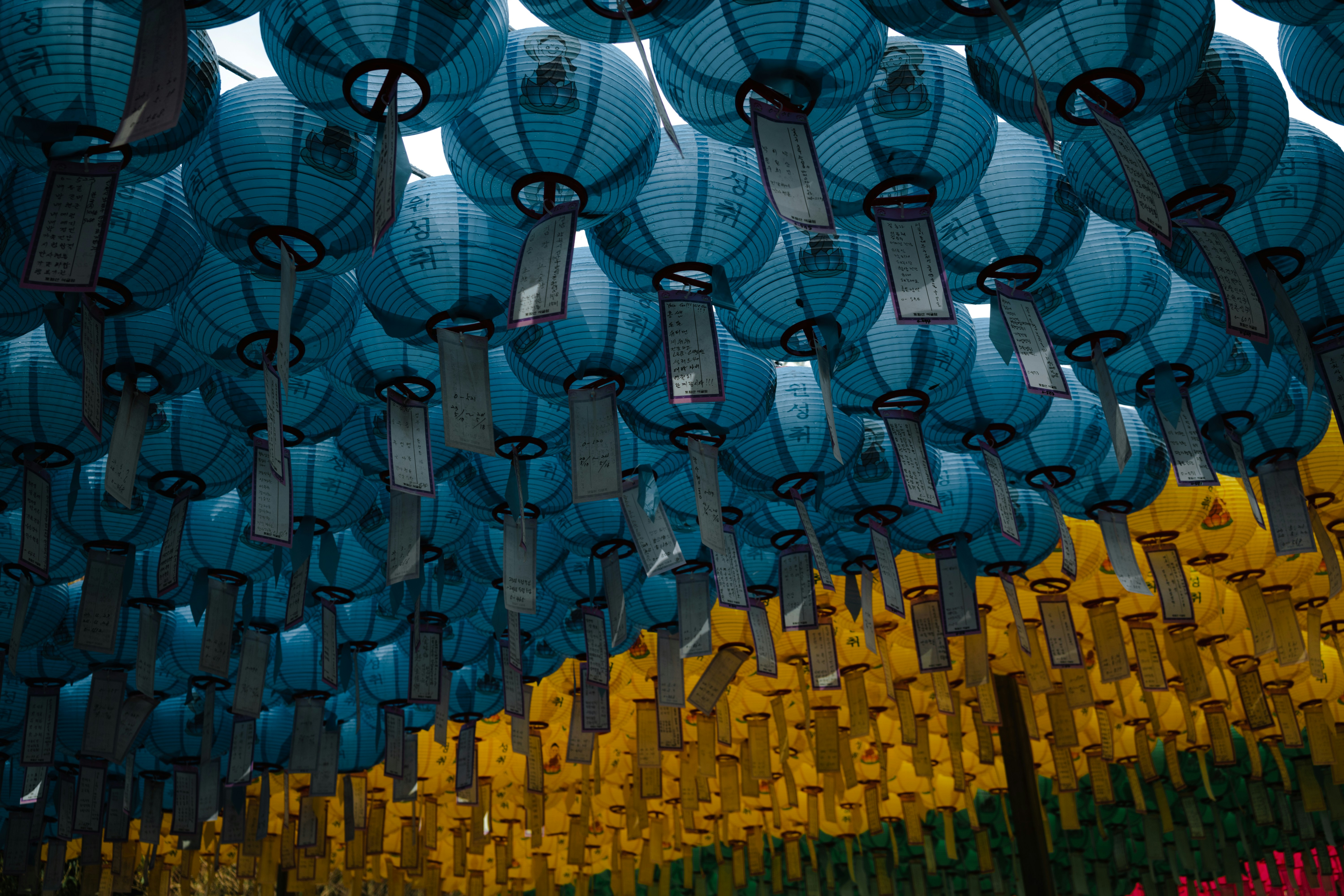 Photo by awkwardayna