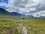 Colorful festival tents nestled in a lush green meadow with mountains in the background.