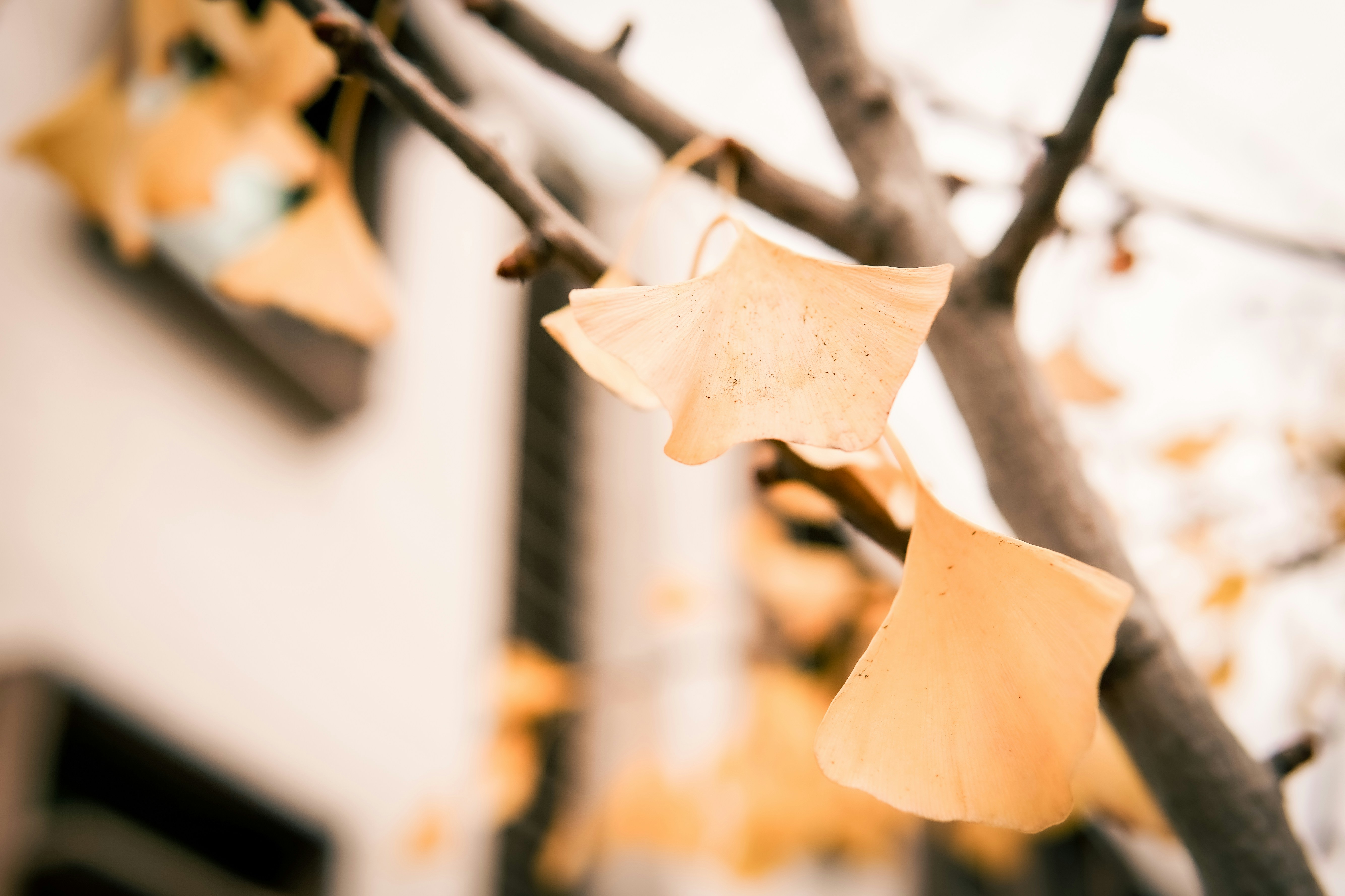 Photo by madeline_sd