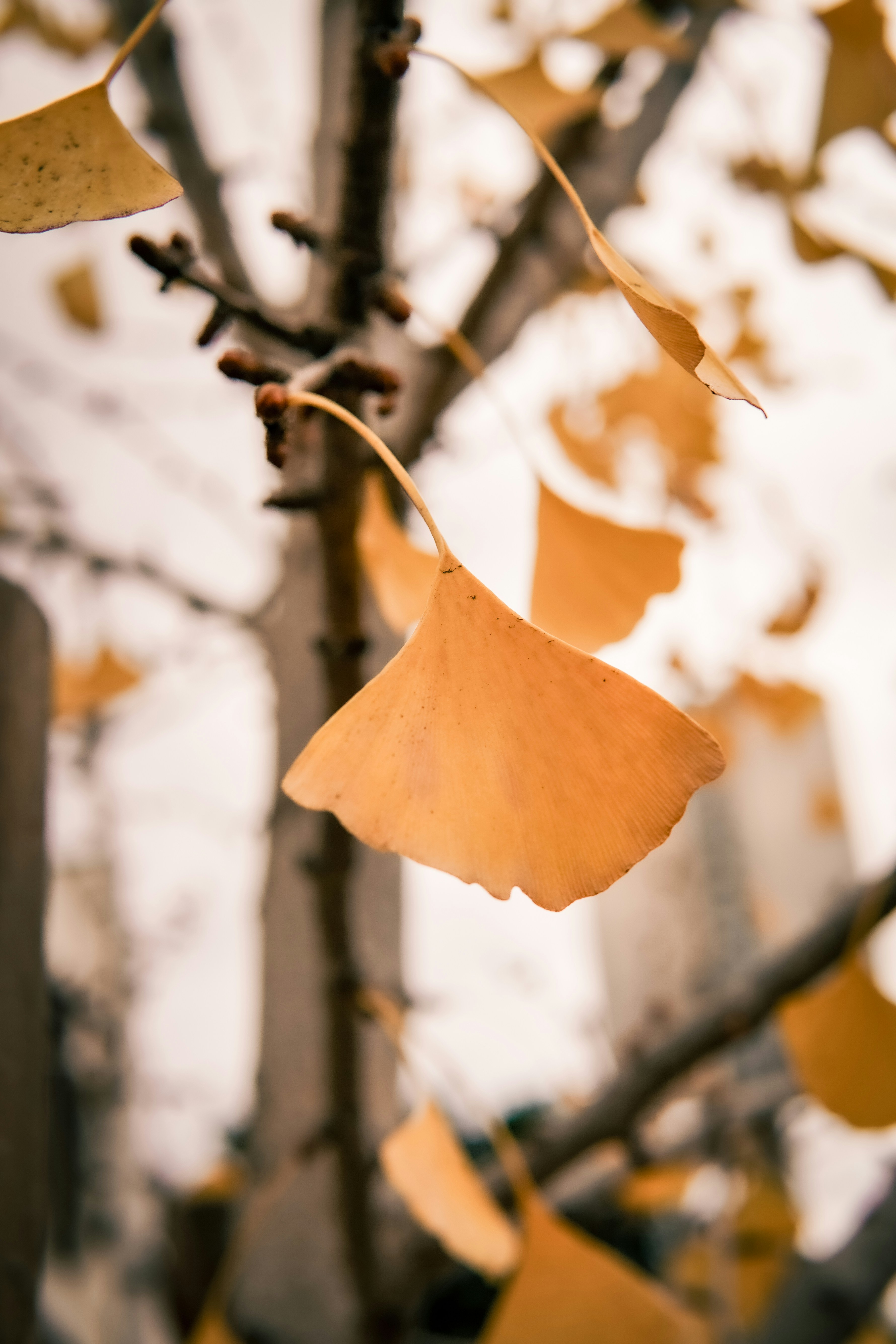 Photo by madeline_sd