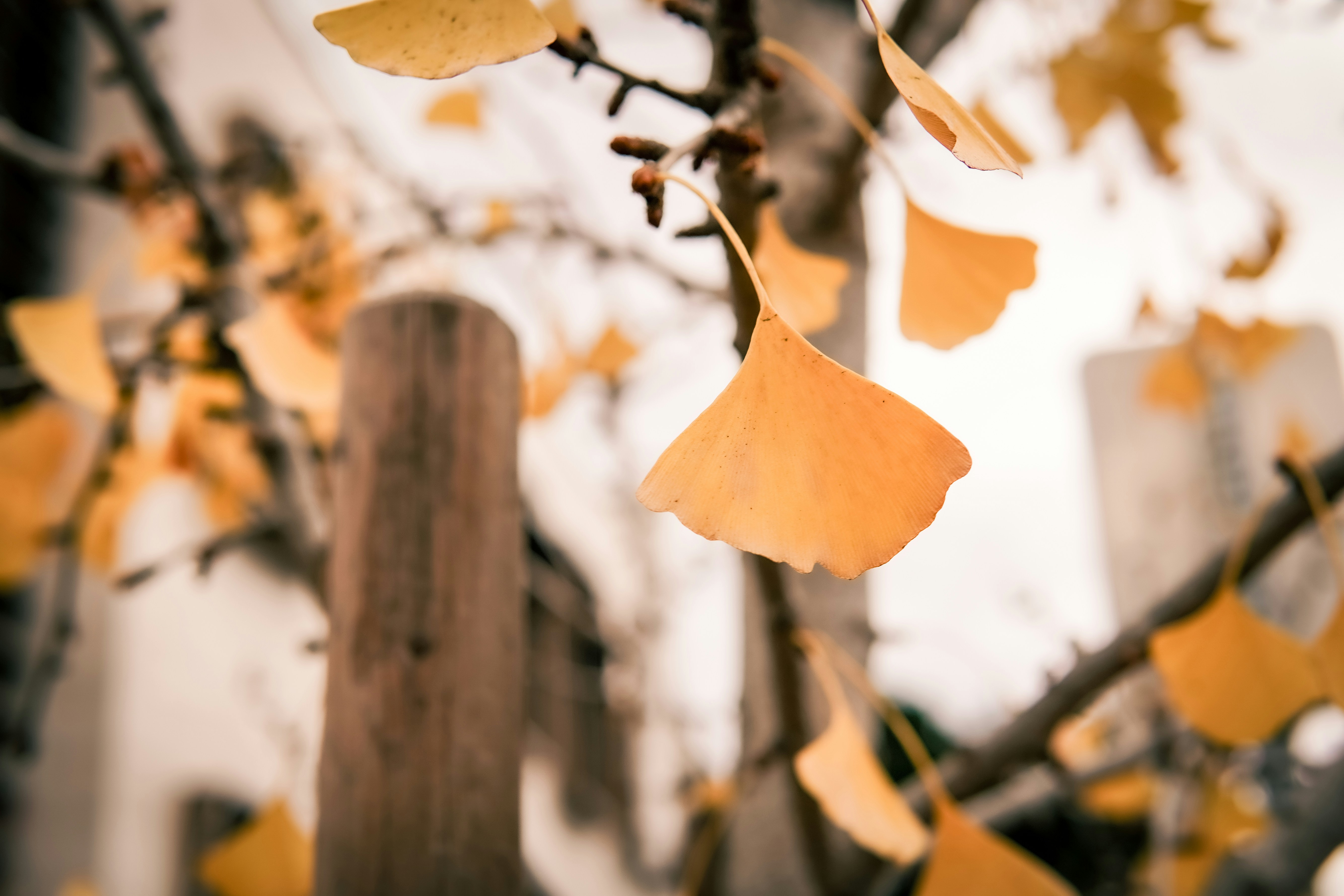 Photo by madeline_sd