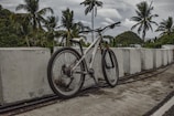 A mountain bike with a silver frame is parked against concrete barriers. In the background, there are palm trees and lush green vegetation under a cloudy sky.