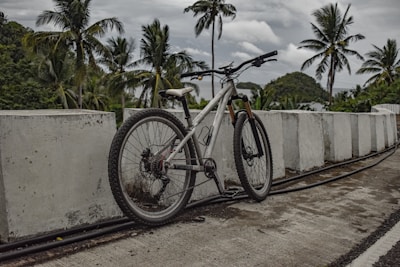 A mountain bike with a silver frame is parked against concrete barriers. In the background, there are palm trees and lush green vegetation under a cloudy sky.