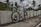 A mountain bike with a silver frame is parked against concrete barriers. In the background, there are palm trees and lush green vegetation under a cloudy sky.
