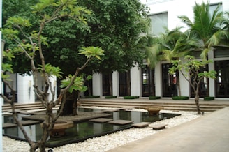 A tranquil courtyard features a small reflective pool surrounded by white pebbles and stepping stones. Lush greenery, including palm trees and other leafy vegetation, provides a serene atmosphere. Tall windows and clean architectural lines of the building create a modern and elegant backdrop.