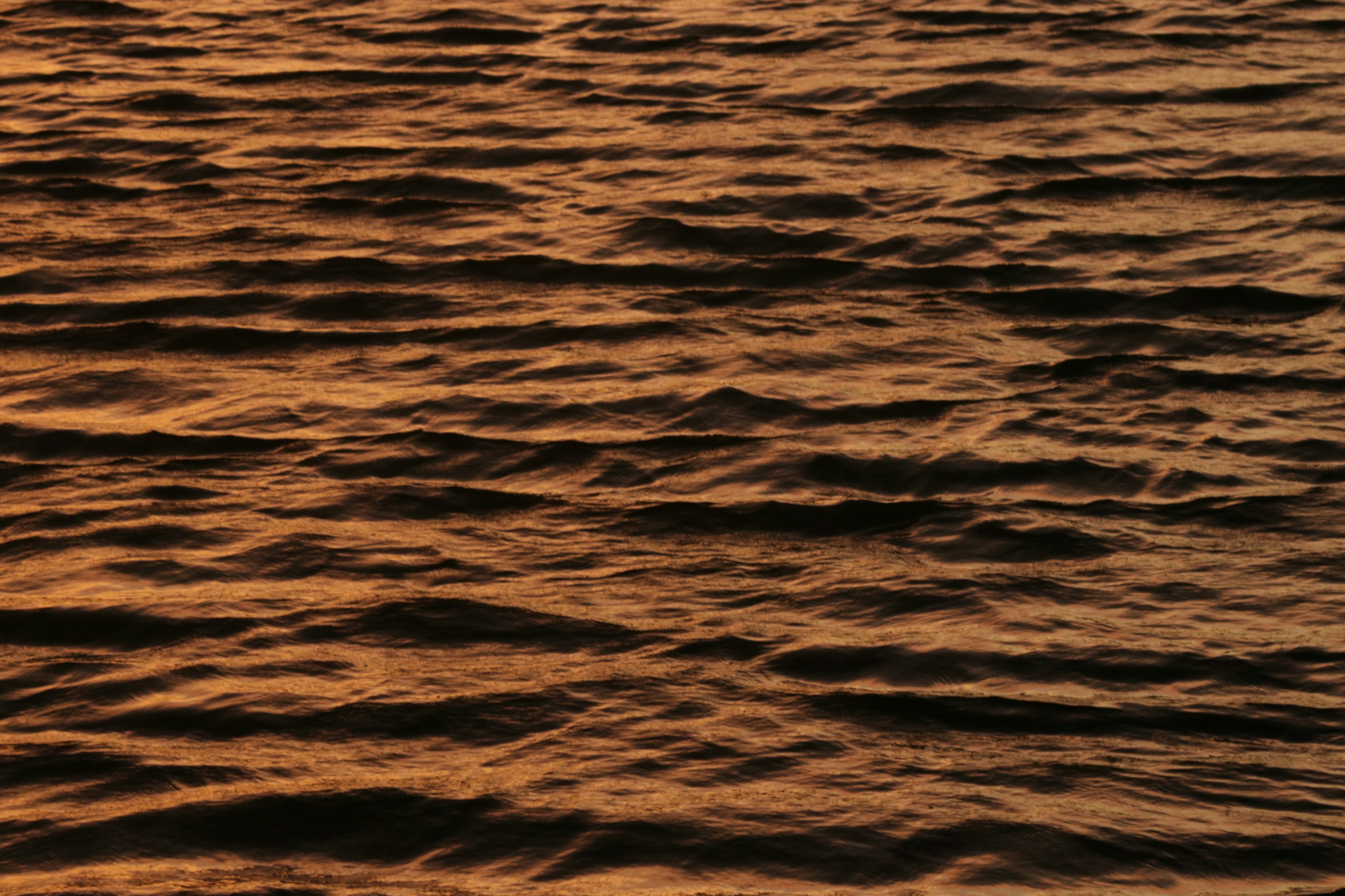 Photo by pon_esakki_sundar