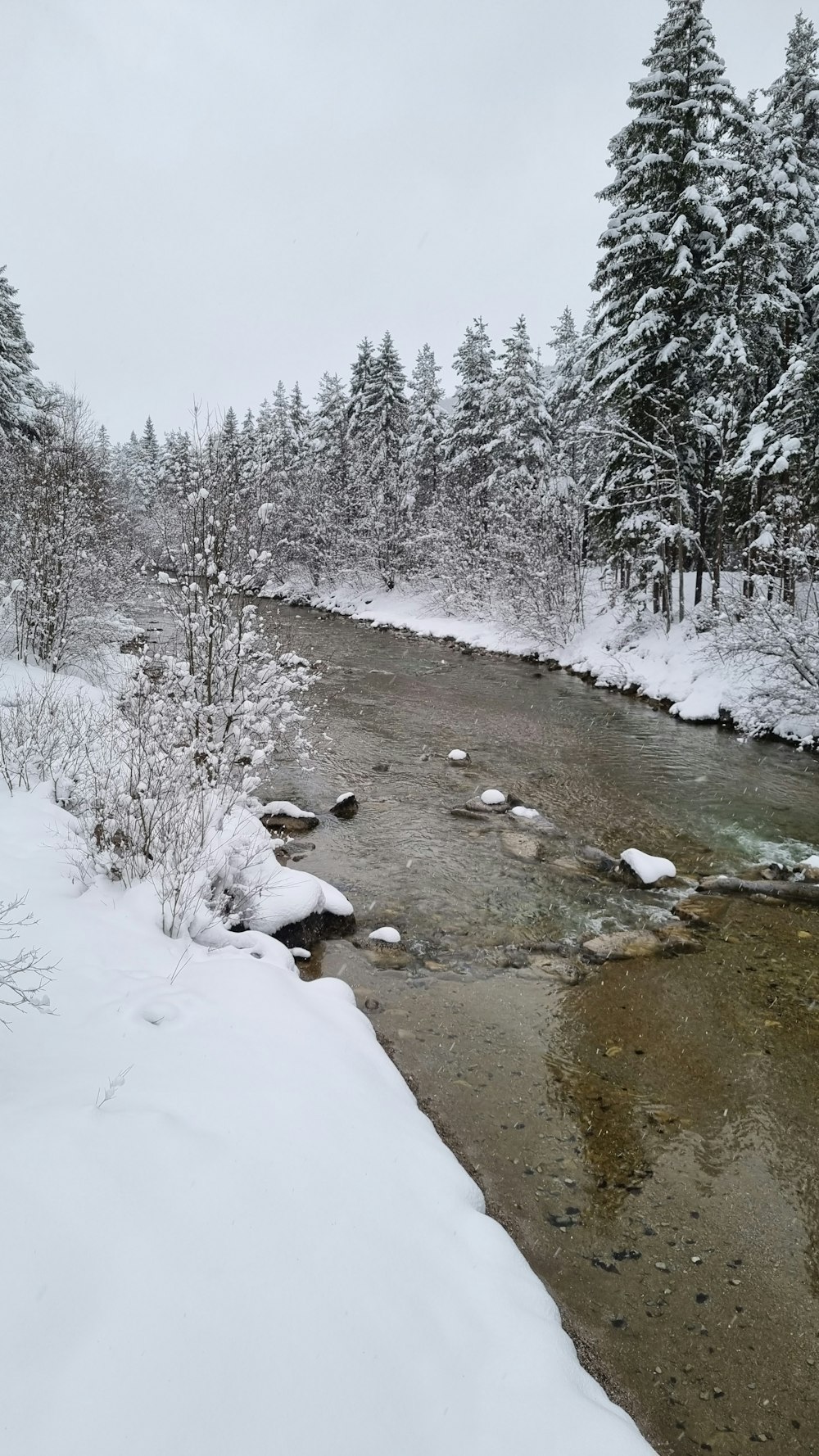 a river running through a snow covered forest